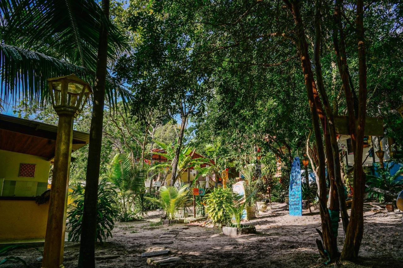 Macaco Surf Hostel Praia de Pipa ภายนอก รูปภาพ
