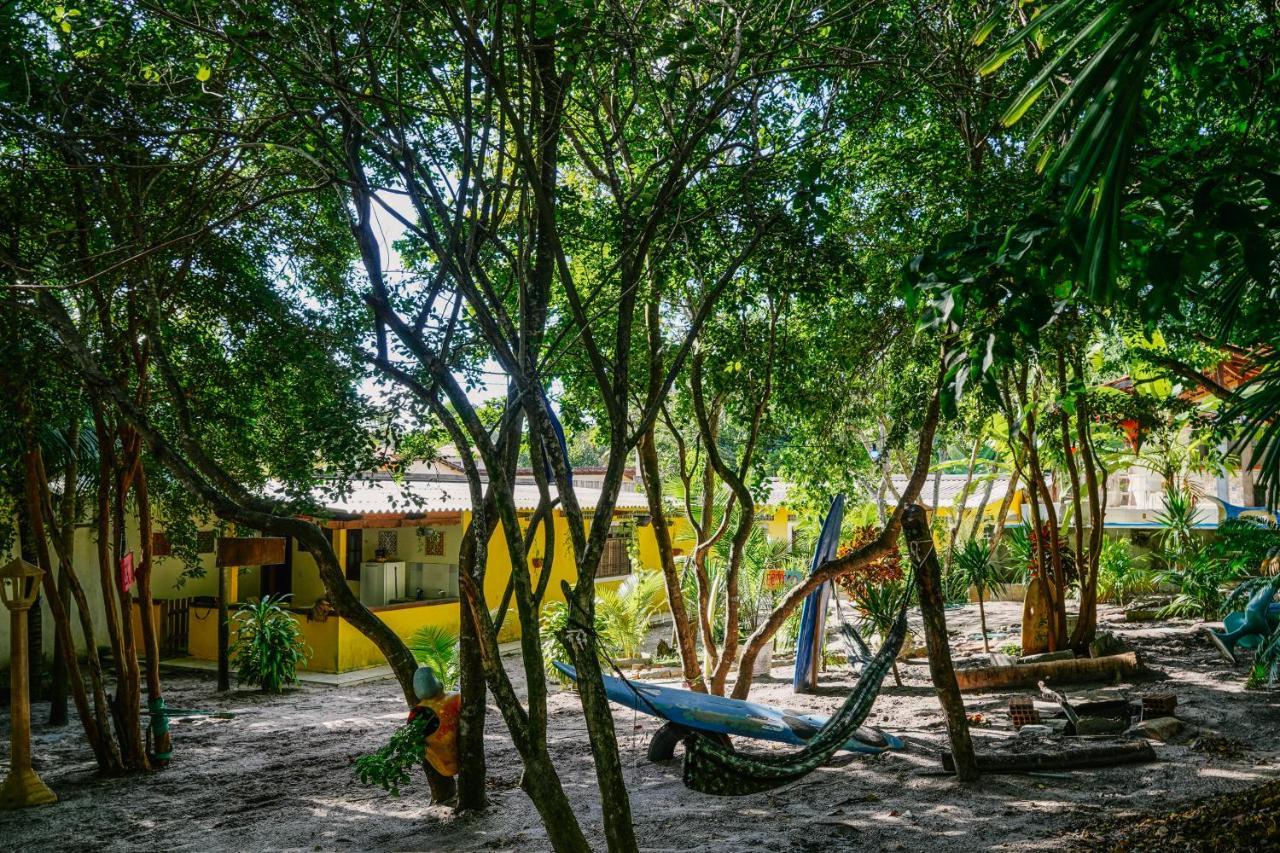 Macaco Surf Hostel Praia de Pipa ภายนอก รูปภาพ